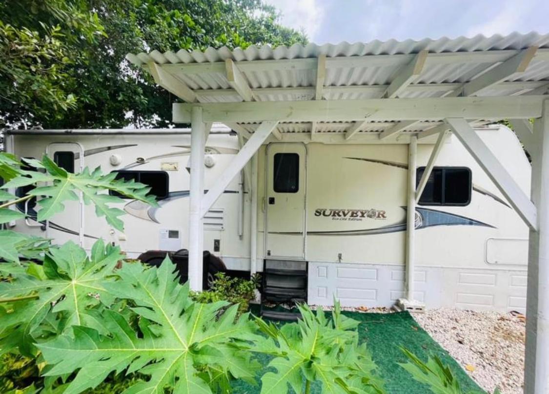 Rv In The Little Jungle By Legnalife Hotel Homestead Exterior photo